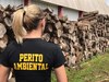 Perito_12