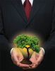 Sustentabilidade0